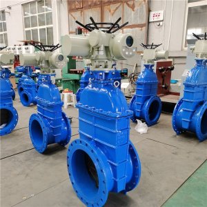 電動(dòng)閘閥Z941h -64 DN500（石化行業(yè)、煉油廠